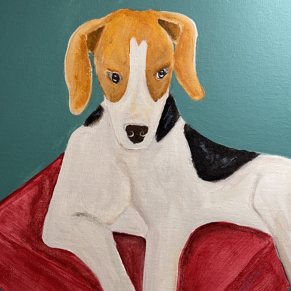 one splendid home Other - Hound Pup